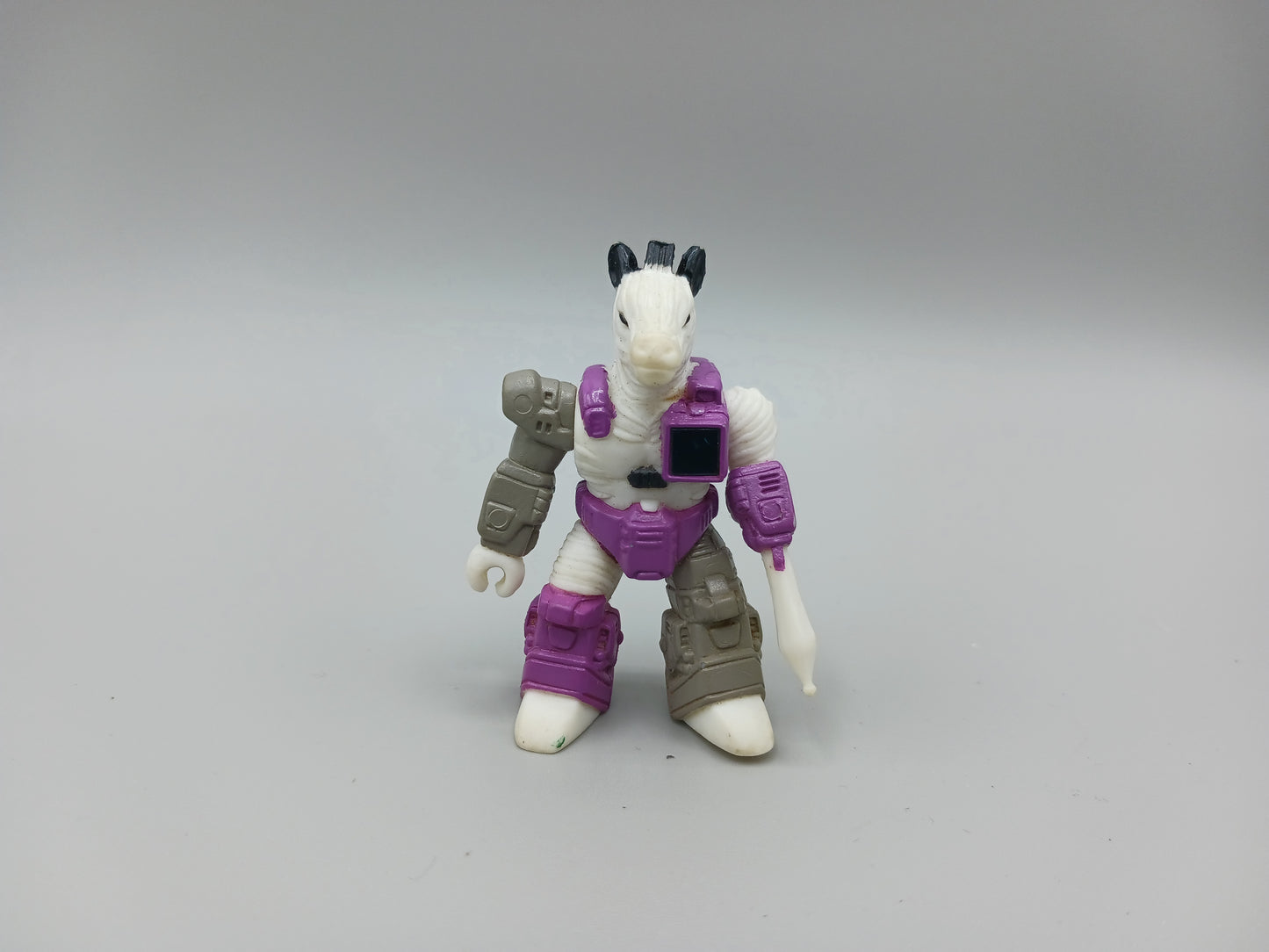 Zealot Zebra