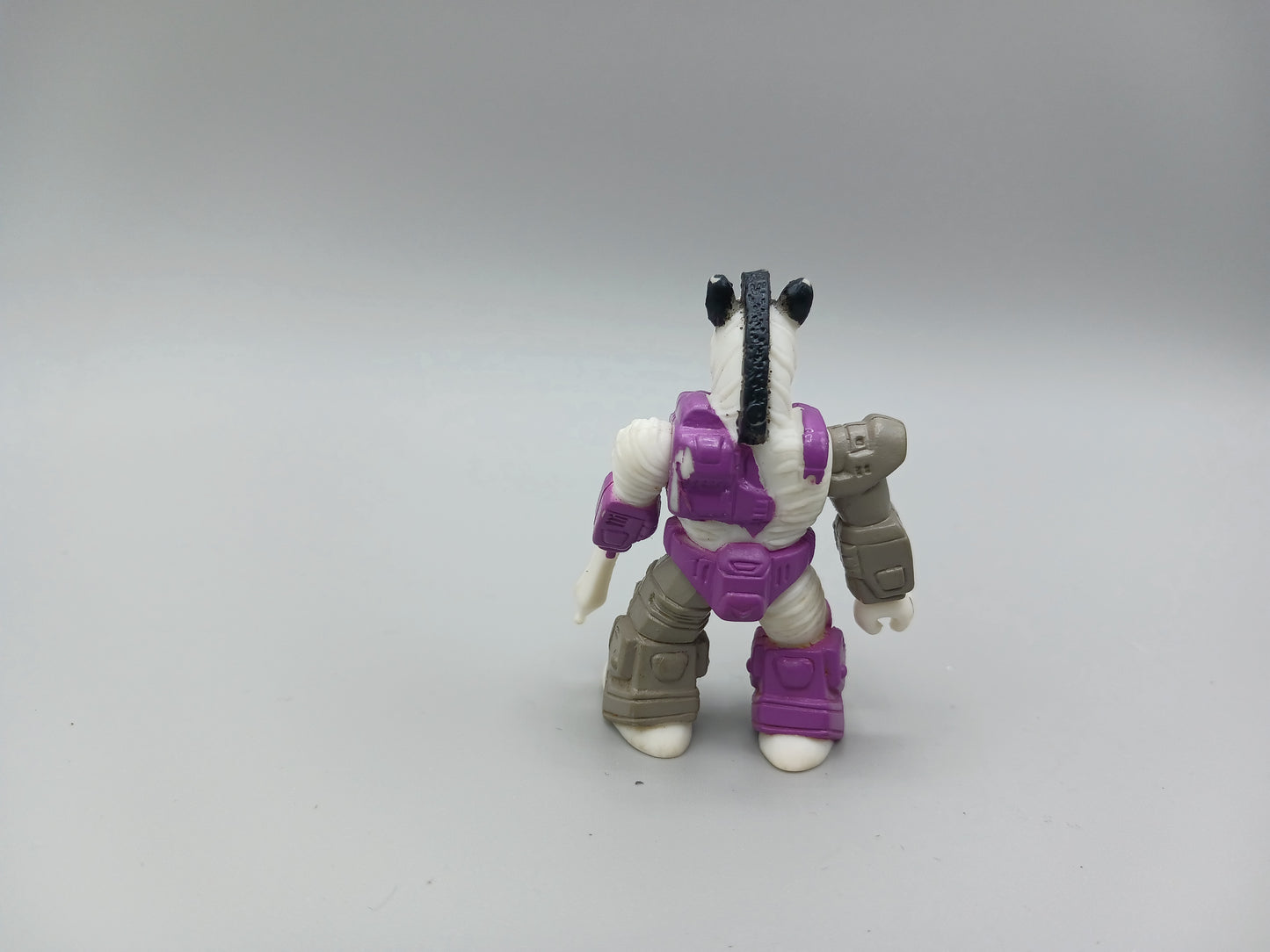 Zealot Zebra