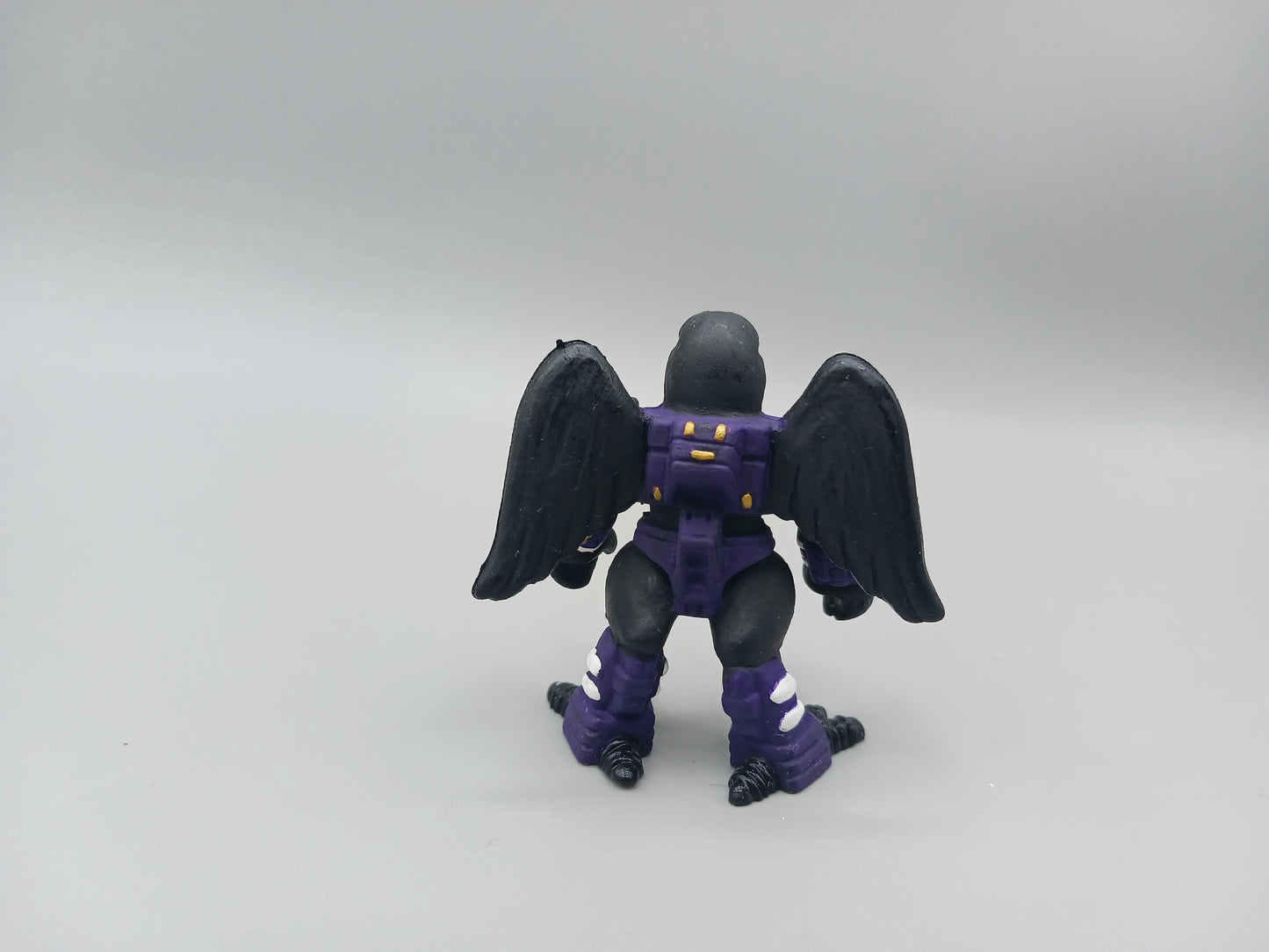 Pro Football Raven