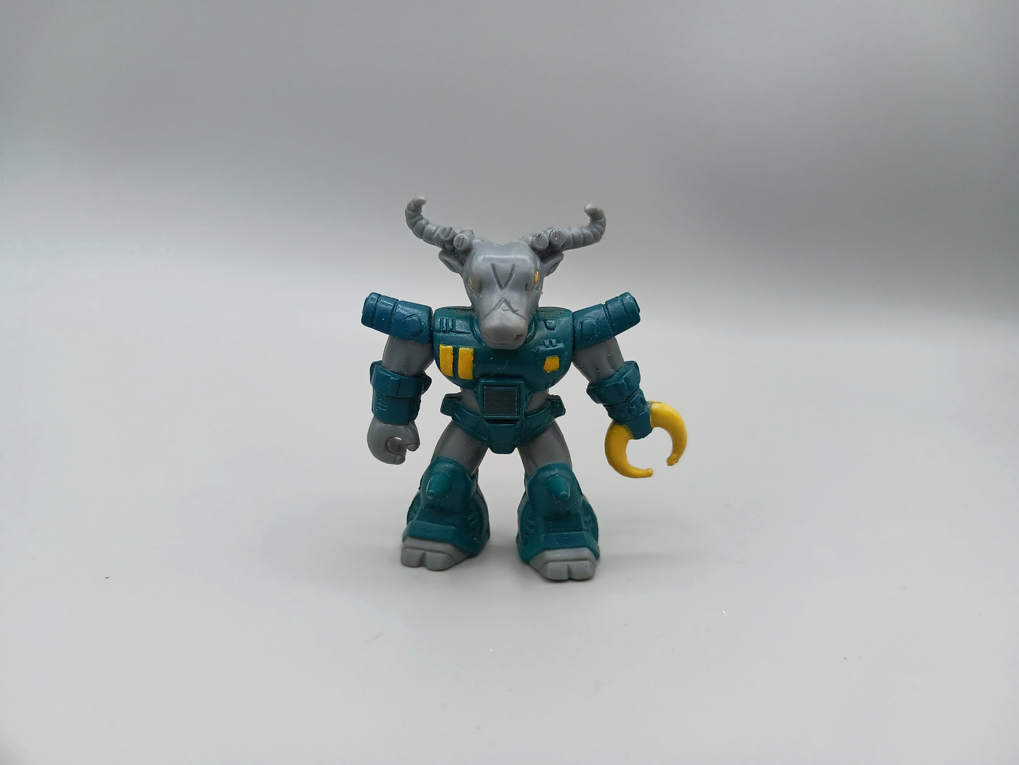 Roamin' Buffalo