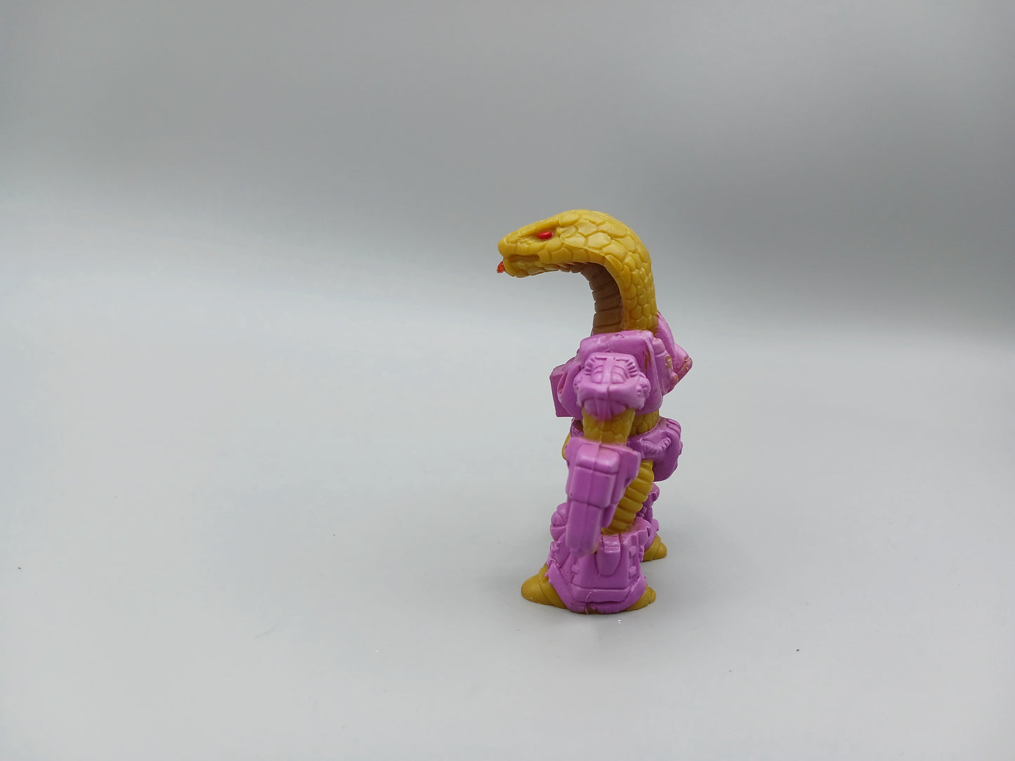 King Cobra