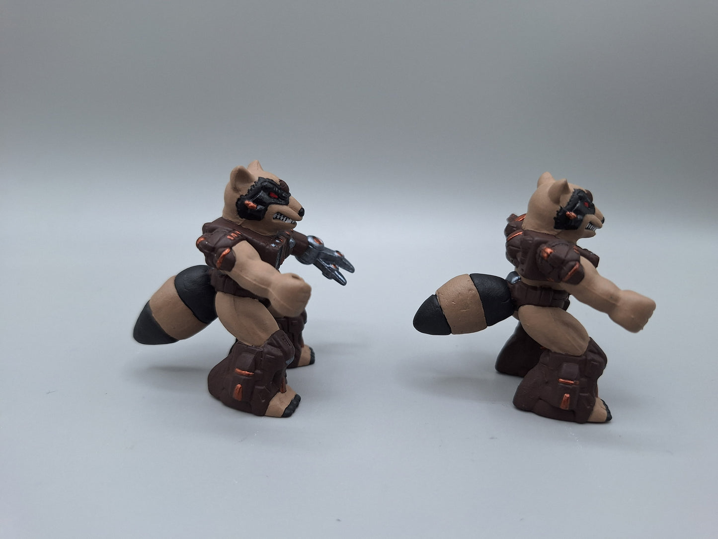 Repaint Racoon with Tail