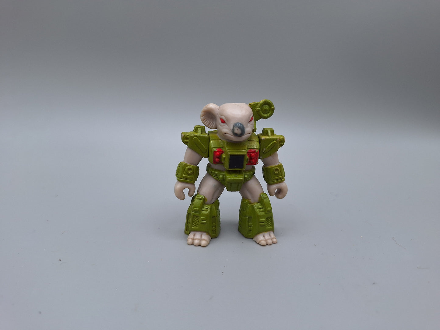 Killer Koala
